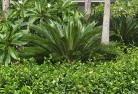 Fairfield VICtropical-landscaping-4.jpg; ?>