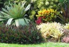 Fairfield VICtropical-landscaping-9.jpg; ?>